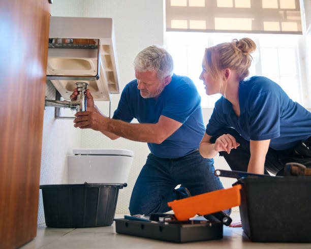 Best Local Plumber Services  in Cleveland, MS